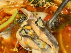 -老滇山寨•云南特色菜•地方菜•民族风情歌舞表演(金碧店)