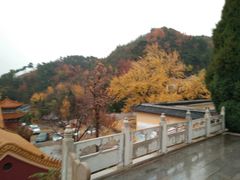-遵化市禅林寺古银杏风景园