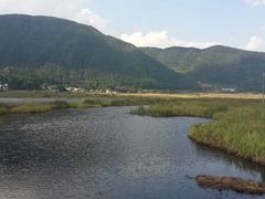 -腾冲北海湿地