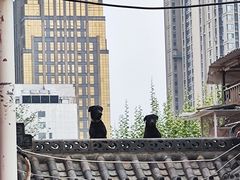 -长春观