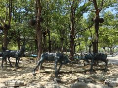 -溱湖国家湿地公园