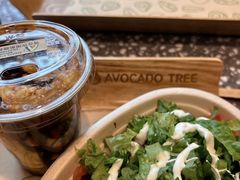 -油梨树AVOCADO TREE(嘉里中心店)