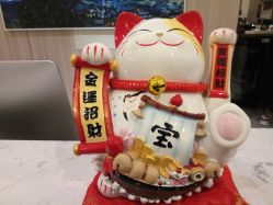 -CE·专业蛋白•羽毛接发·潮色烫染品牌店