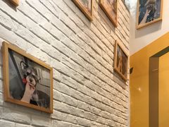 -帕帕拉兹宠物(亚洲旗舰店)