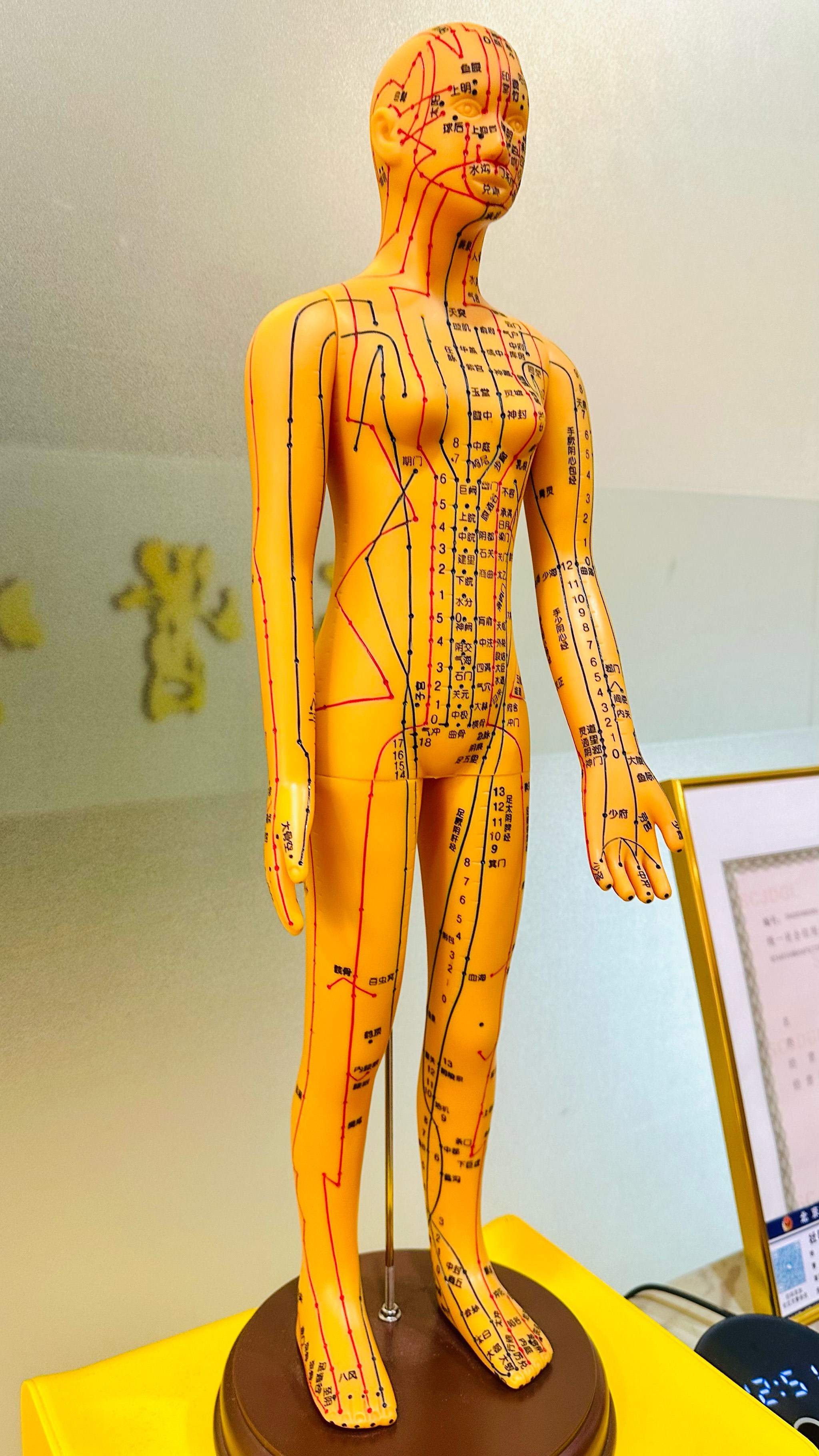 筋骨堂热敷推拿按摩,专业手法超放松!💆