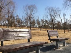 -象湖生态湿地公园