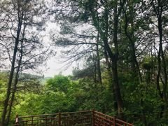 -青龙山国家森林公园
