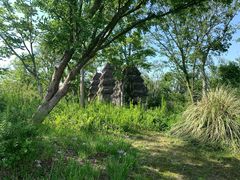 -广富林郊野公园