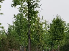 -云居湖