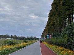 -上海长兴岛郊野公园