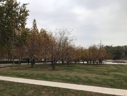 -大望京儿童游乐场