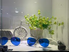 -提一眼镜·蔡司·依视路(小寨店)