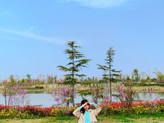 -九龙湖公园
