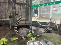 -水绘园