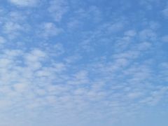 -佛手湖郊野公园