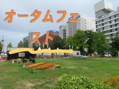 -大通公园