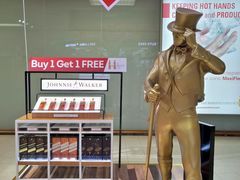 雕像-班达拉奈克国际机场