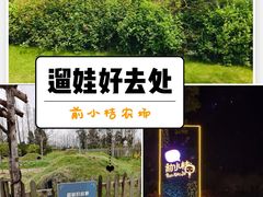 -前小桔亲子创意农场·草莓采摘·露营烧烤