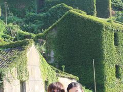 -枸杞岛