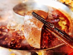 谭公鸭血-谭鸭血老火锅(漳州路店)