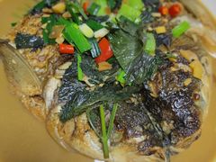 -国生茶庄·地道农家菜团建活动