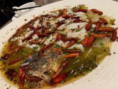 大盘酸菜鲈鱼-九毛九西北菜(百信广场店)