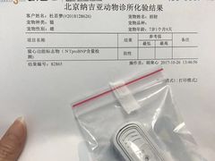 -纳吉亚猫专科动物诊疗中心(蒋宅口分院)