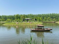 -合肥滨湖国家森林公园