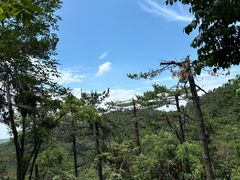 -四明山国家森林公园