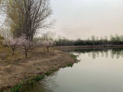 -东郊湿地公园