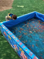 -萌宠亲子动物乐园(槐房万达店)