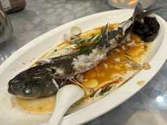 -鹭园酒家·四十年老字号