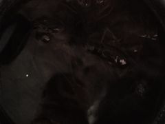 -崂山菜市场(上港小区店)