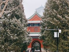 -月坛公园
