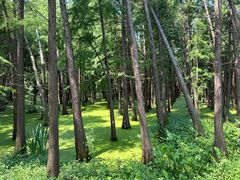 -虞山风景区