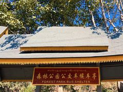 -西双版纳原始森林公园