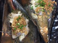 带子-眼镜哥浦江夜宵大本营