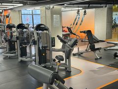 -健身专家Wellness Experts