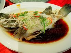清蒸石斑鱼-本地渔村海鲜大咖(商业街店)