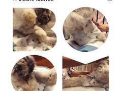 -雨林宠物医院 非犬猫异宠专科
