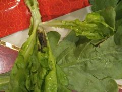 -玉林串串香(大成路店)