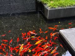 -湖滨客舍·湖北菜