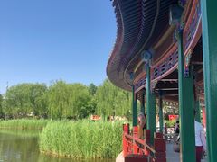 -西海子公园