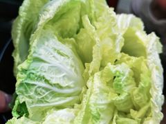 娃娃菜-潮发潮汕牛肉店(龙洞店)