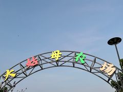 -大姑母农庄