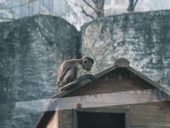 -杭州野生动物世界