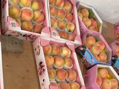 -南汇水蜜桃采摘(大团店)