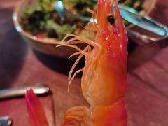 -斯普汇生蚝牛排馆(中骏世界城店)