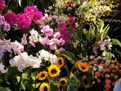 -春暖花开(西溪店)