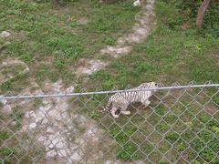 -石家庄市动物园